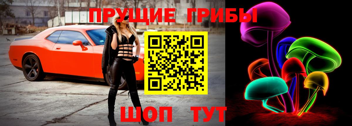 купить закладку  Вход с VPN  Галлюциногенные грибы прущие грибы  Александров  Галлюциногенные грибы GOLDEN TEACHER 